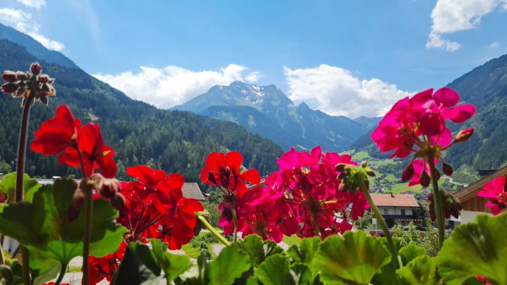 Scheulinghof Hotell Mayrhofen Eksteriør bilde