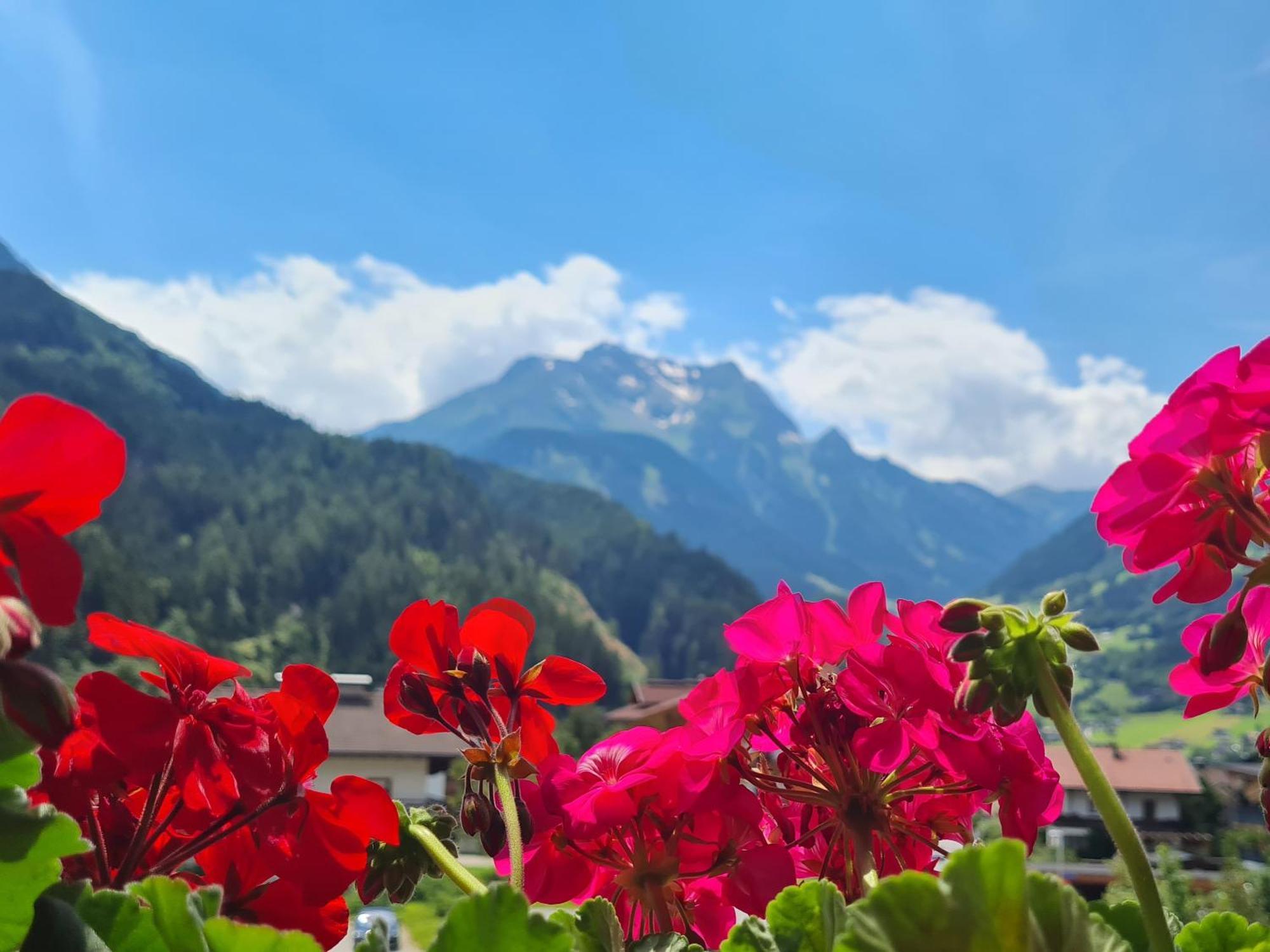 Scheulinghof Hotell Mayrhofen Eksteriør bilde